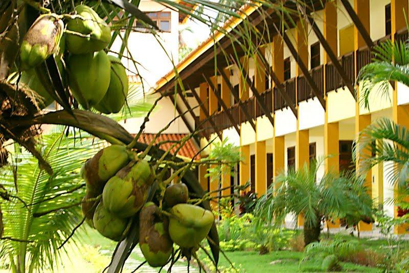 Girassol Praia Hotel Guaibim Kültér fotó